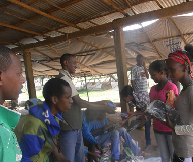 portfolio
                    image